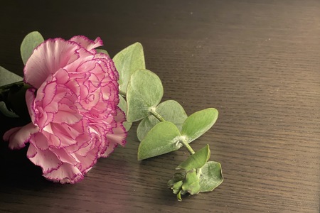 心光線上講座2026.01.17開放報名中